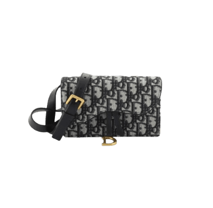 Christian Dior Saddle Rectangular Belt Bag Oblique Canvas